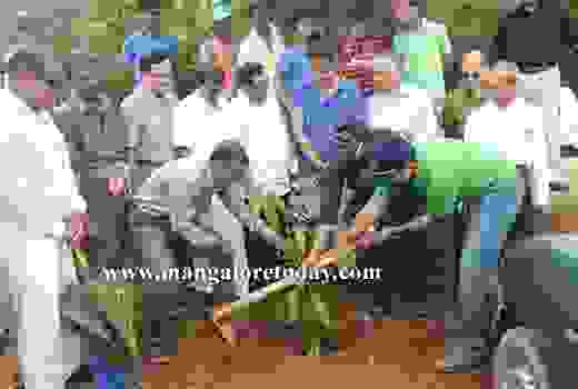 rainfestival in pilikula 1